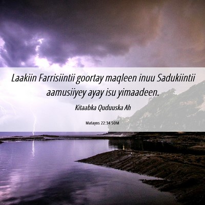Picture 06 - Matayos 22:34 SOM - Laakiin Farrisiintii goortay maqleen inuu - Bible Verse Picture