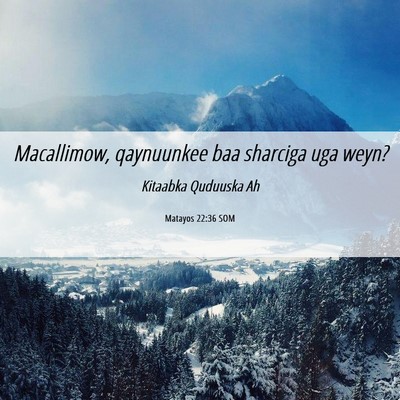 Picture 06 - Matayos 22:36 SOM - Macallimow, qaynuunkee baa sharciga uga - Bible Verse Picture