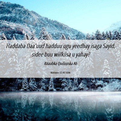 Picture 06 - Matayos 22:45 SOM - Haddaba Daa'uud hadduu ugu yeedhay isaga Sayid, - Bible Verse Picture