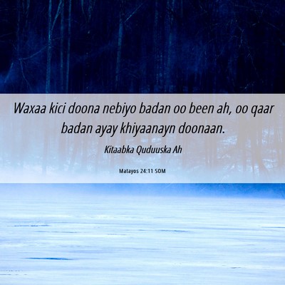 Picture 06 - Matayos 24:11 SOM - Waxaa kici doona nebiyo badan oo been ah, oo qaar - Bible Verse Picture