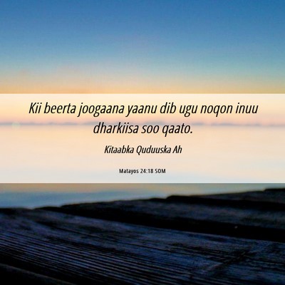 Picture 06 - Matayos 24:18 SOM - Kii beerta joogaana yaanu dib ugu noqon inuu - Bible Verse Picture