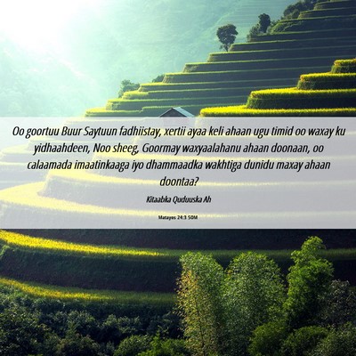 Picture 06 - Matayos 24:3 SOM - Oo goortuu Buur Saytuun fadhiistay, xertii ayaa - Bible Verse Picture