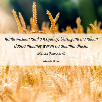 Picture 06 - Matayos 24:34 SOM - Runtii waxaan idinku leeyahay, Qarniganu ma - Bible Verse Picture