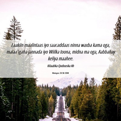 Picture 06 - Matayos 24:36 SOM - Laakiin maalintaas iyo saacaddaas ninna waxba - Bible Verse Picture