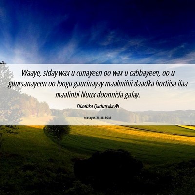 Picture 06 - Matayos 24:38 SOM - Waayo, siday wax u cunayeen oo wax u cabbayeen, - Bible Verse Picture
