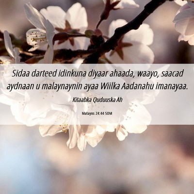 Picture 06 - Matayos 24:44 SOM - Sidaa darteed idinkuna diyaar ahaada, waayo, - Bible Verse Picture