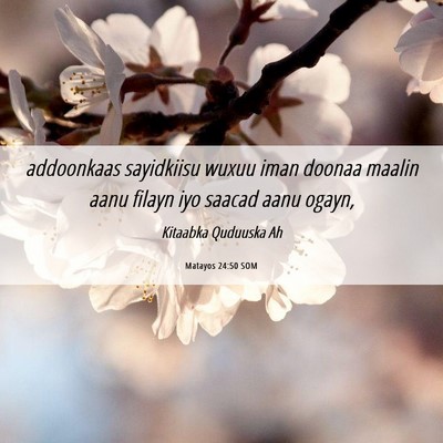 Picture 06 - Matayos 24:50 SOM - addoonkaas sayidkiisu wuxuu iman doonaa maalin - Bible Verse Picture