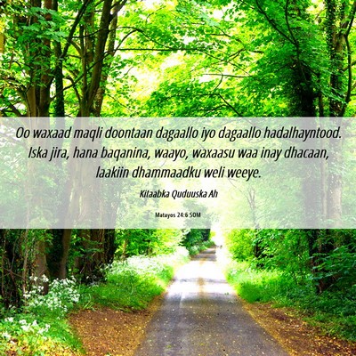 Picture 06 - Matayos 24:6 SOM - Oo waxaad maqli doontaan dagaallo iyo dagaallo - Bible Verse Picture
