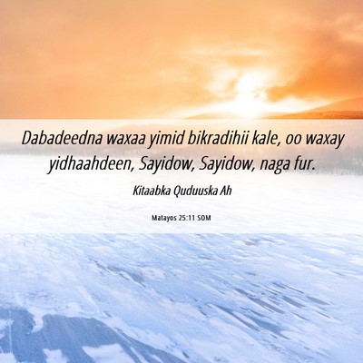 Picture 06 - Matayos 25:11 SOM - Dabadeedna waxaa yimid bikradihii kale, oo waxay - Bible Verse Picture