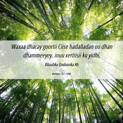 Picture 06 - Matayos 26:1 SOM - Waxaa dhacay goortii Ciise hadalladan oo dhan - Bible Verse Picture