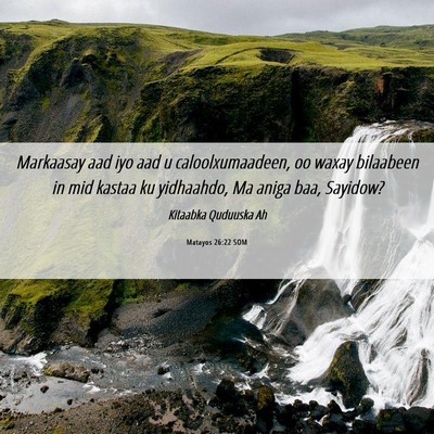 Picture 06 - Matayos 26:22 SOM - Markaasay aad iyo aad u caloolxumaadeen, oo waxay - Bible Verse Picture