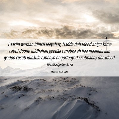 Picture 06 - Matayos 26:29 SOM - Laakiin waxaan idinku leeyahay, Hadda dabadeed - Bible Verse Picture