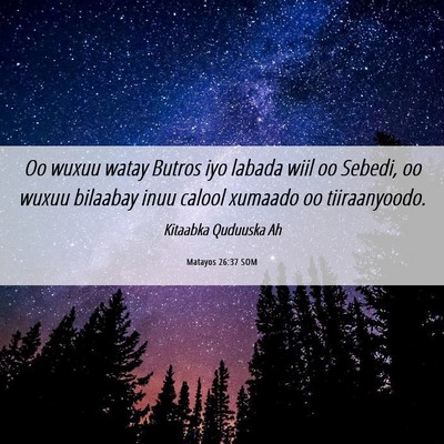 Picture 06 - Matayos 26:37 SOM - Oo wuxuu watay Butros iyo labada wiil oo Sebedi, - Bible Verse Picture