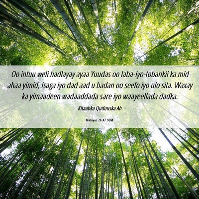 Picture 06 - Matayos 26:47 SOM - Oo intuu weli hadlayay ayaa Yuudas oo - Bible Verse Picture