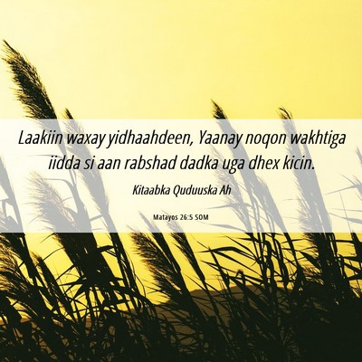 Picture 06 - Matayos 26:5 SOM - Laakiin waxay yidhaahdeen, Yaanay noqon wakhtiga - Bible Verse Picture
