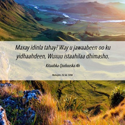 Picture 06 - Matayos 26:66 SOM - Maxay idinla tahay? Way u jawaabeen oo ku - Bible Verse Picture