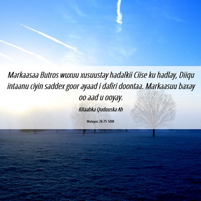 Picture 06 - Matayos 26:75 SOM - Markaasaa Butros wuxuu xusuustay hadalkii Ciise - Bible Verse Picture