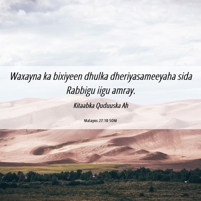 Picture 06 - Matayos 27:10 SOM - Waxayna ka bixiyeen dhulka dheriyasameeyaha sida - Bible Verse Picture