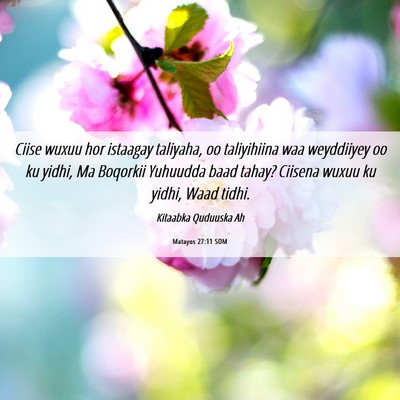 Picture 06 - Matayos 27:11 SOM - Ciise wuxuu hor istaagay taliyaha, oo taliyihiina - Bible Verse Picture