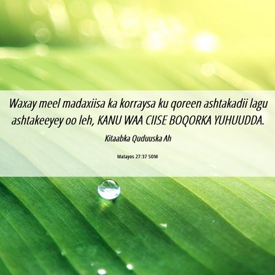 Picture 06 - Matayos 27:37 SOM - Waxay meel madaxiisa ka korraysa ku qoreen - Bible Verse Picture