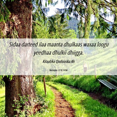 Picture 06 - Matayos 27:8 SOM - Sidaa darteed ilaa maanta dhulkaas waxaa loogu - Bible Verse Picture