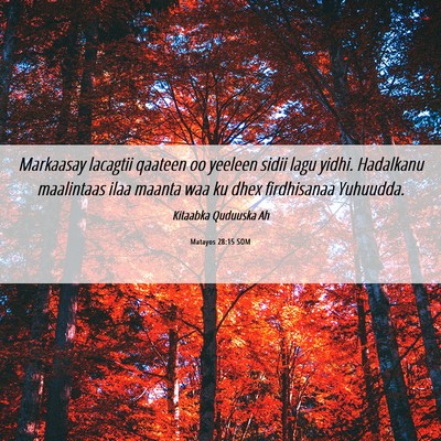 Picture 06 - Matayos 28:15 SOM - Markaasay lacagtii qaateen oo yeeleen sidii lagu - Bible Verse Picture