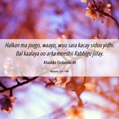Picture 06 - Matayos 28:6 SOM - Halkan ma joogo, waayo, wuu sara kacay siduu - Bible Verse Picture