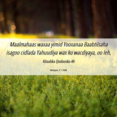 Picture 06 - Matayos 3:1 SOM - Maalmahaas waxaa yimid Yooxanaa Baabtiisaha - Bible Verse Picture