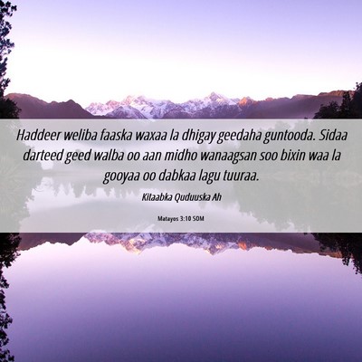 Picture 06 - Matayos 3:10 SOM - Haddeer weliba faaska waxaa la dhigay geedaha - Bible Verse Picture