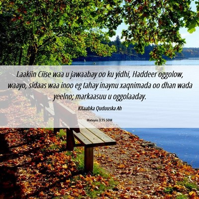 Picture 06 - Matayos 3:15 SOM - Laakiin Ciise waa u jawaabay oo ku yidhi, Haddeer - Bible Verse Picture