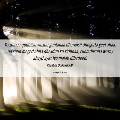 Picture 06 - Matayos 3:4 SOM - Yooxanaa qudhiisu wuxuu guntanaa dharkiisii - Bible Verse Picture
