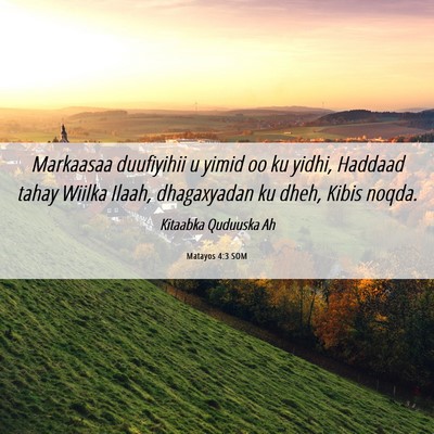 Picture 06 - Matayos 4:3 SOM - Markaasaa duufiyihii u yimid oo ku yidhi, Haddaad - Bible Verse Picture