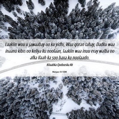 Picture 06 - Matayos 4:4 SOM - Laakiin wuu u jawaabay oo ku yidhi, Waa qoran - Bible Verse Picture