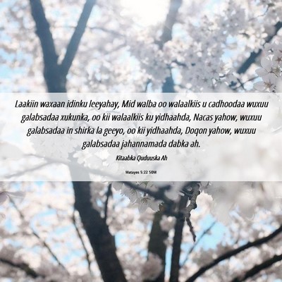 Picture 06 - Matayos 5:22 SOM - Laakiin waxaan idinku leeyahay, Mid walba oo - Bible Verse Picture