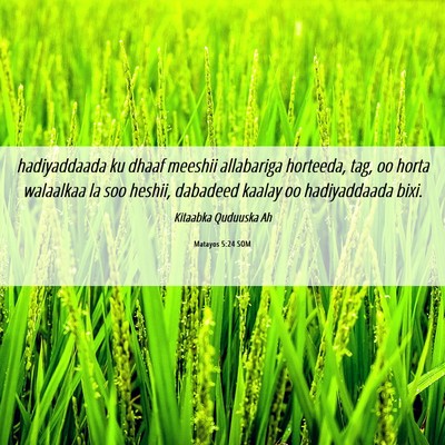 Picture 06 - Matayos 5:24 SOM - hadiyaddaada ku dhaaf meeshii allabariga - Bible Verse Picture