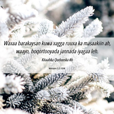 Picture 06 - Matayos 5:3 SOM - Waxaa barakaysan kuwa xagga ruuxa ka masaakiin - Bible Verse Picture