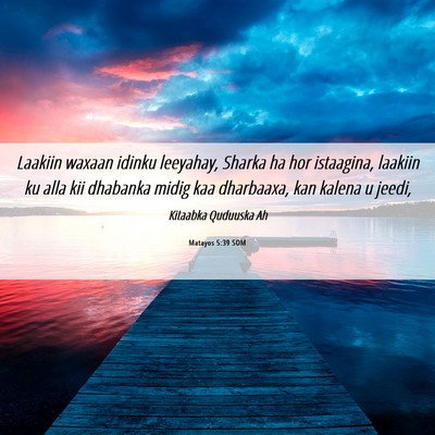 Picture 06 - Matayos 5:39 SOM - Laakiin waxaan idinku leeyahay, Sharka ha hor - Bible Verse Picture