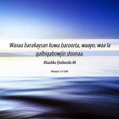 Picture 06 - Matayos 5:4 SOM - Waxaa barakaysan kuwa baroorta, waayo, waa la - Bible Verse Picture