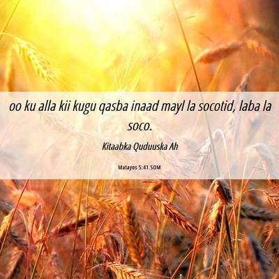 Picture 06 - Matayos 5:41 SOM - oo ku alla kii kugu qasba inaad mayl la socotid, - Bible Verse Picture