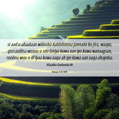 Picture 06 - Matayos 5:45 SOM - si aad u ahaataan wiilashii Aabbihiinna jannada - Bible Verse Picture