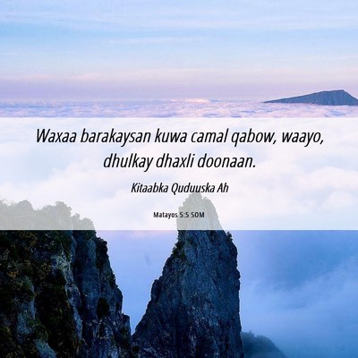 Picture 06 - Matayos 5:5 SOM - Waxaa barakaysan kuwa camal qabow, waayo, dhulkay - Bible Verse Picture