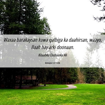 Picture 06 - Matayos 5:8 SOM - Waxaa barakaysan kuwa qalbiga ka daahirsan, - Bible Verse Picture