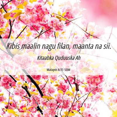 Picture 06 - Matayos 6:11 SOM - Kibis maalin nagu filan, maanta na - Bible Verse Picture