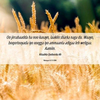 Picture 06 - Matayos 6:13 SOM - Oo jirrabaadda ha noo kaxayn, laakiin sharka naga - Bible Verse Picture