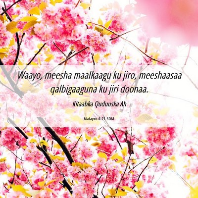 Picture 06 - Matayos 6:21 SOM - Waayo, meesha maalkaagu ku jiro, meeshaasaa - Bible Verse Picture
