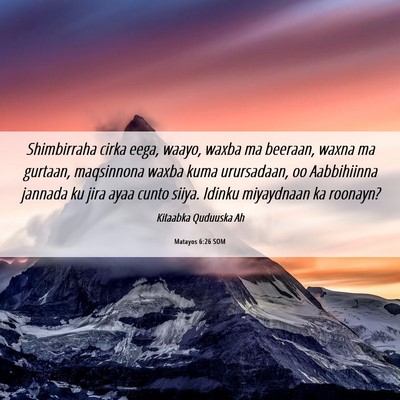 Picture 06 - Matayos 6:26 SOM - Shimbirraha cirka eega, waayo, waxba ma beeraan, - Bible Verse Picture
