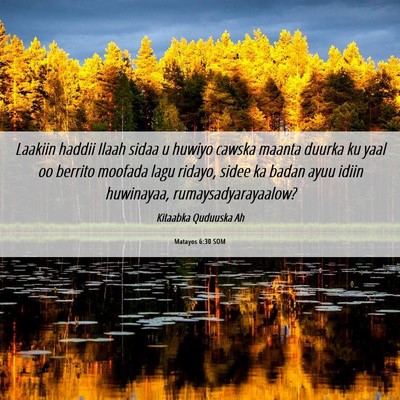 Picture 06 - Matayos 6:30 SOM - Laakiin haddii Ilaah sidaa u huwiyo cawska maanta - Bible Verse Picture