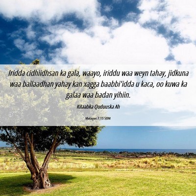Picture 06 - Matayos 7:13 SOM - Iridda cidhiidhsan ka gala, waayo, iriddu waa - Bible Verse Picture