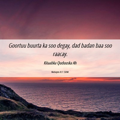 Picture 06 - Matayos 8:1 SOM - Goortuu buurta ka soo degay, dad badan baa soo - Bible Verse Picture