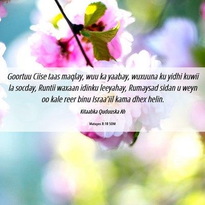 Picture 06 - Matayos 8:10 SOM - Goortuu Ciise taas maqlay, wuu ka yaabay, wuxuuna - Bible Verse Picture